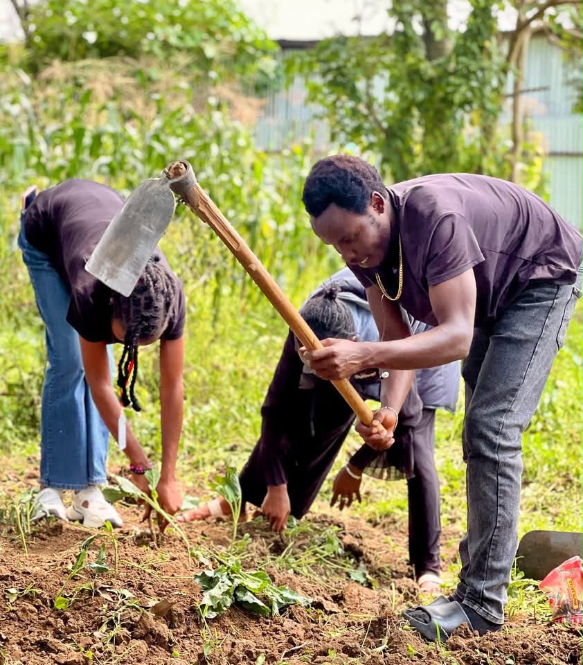 Amaica Group Foundation kitchen garden making. The activity was designed to improve household nutrition and reduce budgeting on kitchen food stuffs. They planted spinach, kales, onions, and assorted vegetables